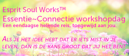 ESW Essentie-Connectie workshopdag