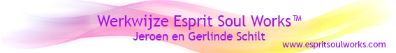 werkwijze Esprit Soul Works